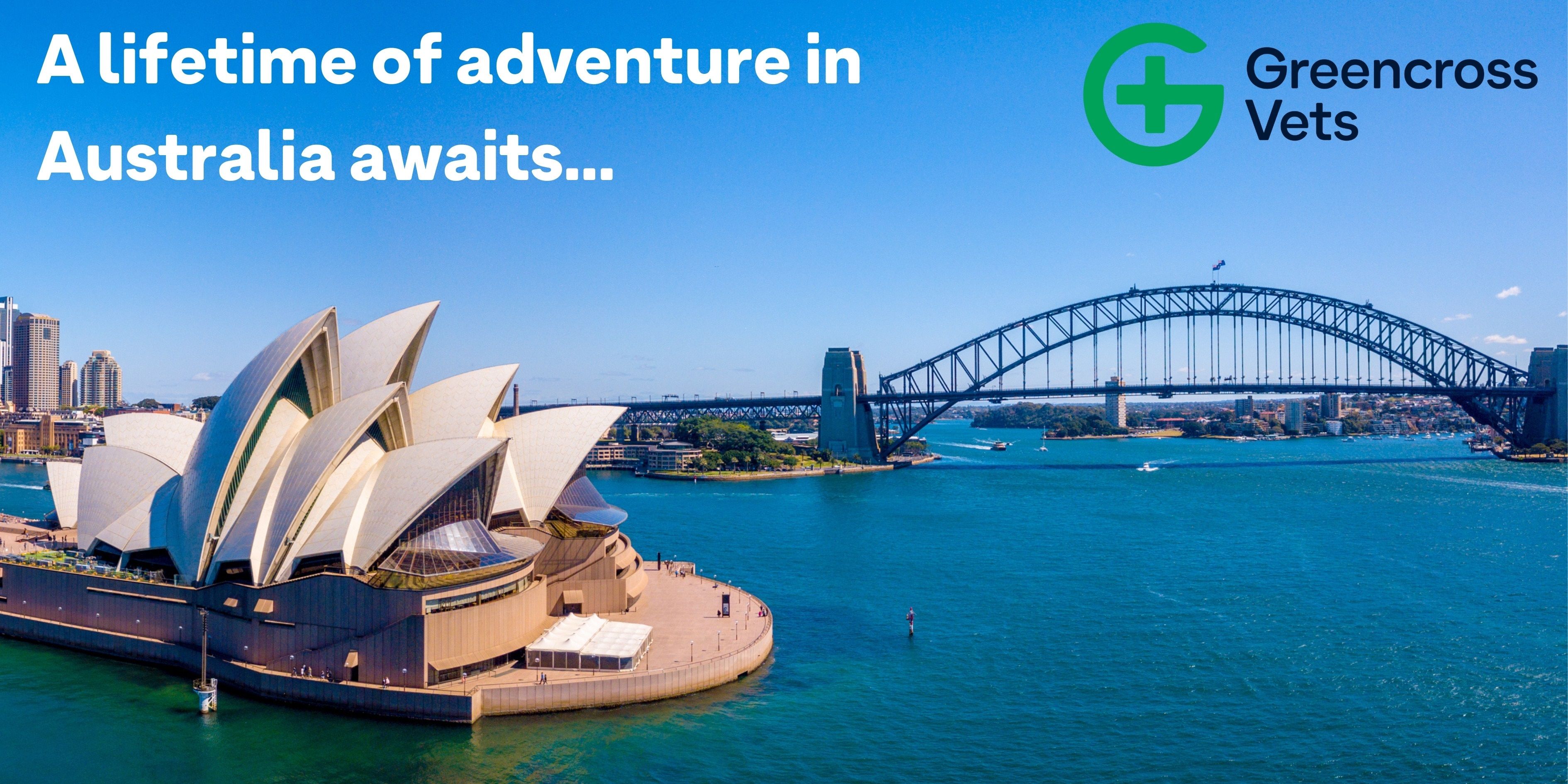 A career with Greencross Vets could take you anywhere…